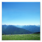 Deer en de Olympische Spelen Foto Afdruk (Voorkant)