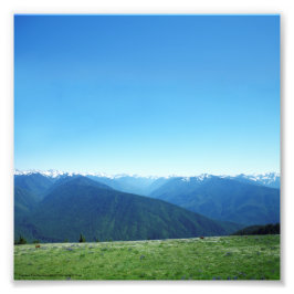 Deer en de Olympische Spelen Foto Afdruk