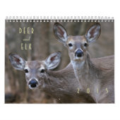 Deer en Elk Wall Calendar 2015 - Wildlife Kalender (Hoes)
