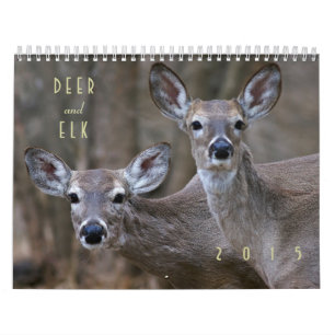 Deer en Elk Wall Calendar 2015 - Wildlife Kalender