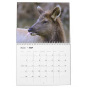 Deer en Elk Wall Calendar 2015 - Wildlife Kalender (Mar 2027)