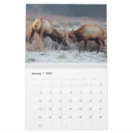 Deer en Elk Wall Calendar 2015 - Wildlife Kalender (Jan 2027)