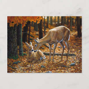deer en Fawn Autumn Leaves Briefkaart