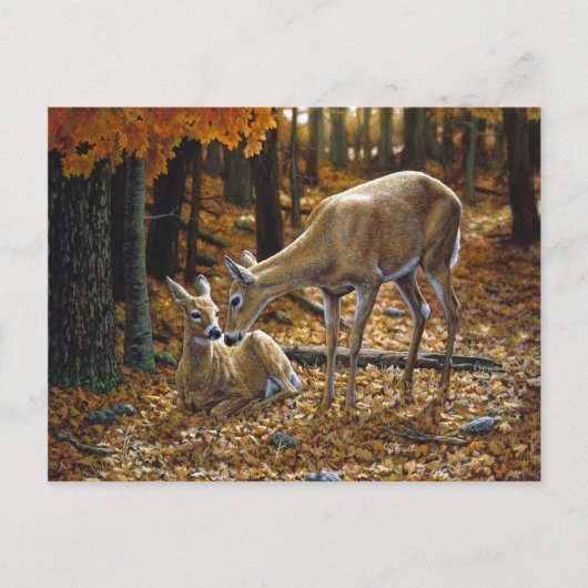  deer en Fawn Autumn Leaves Briefkaart (Voorkant)