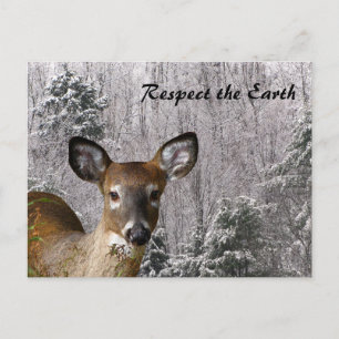 Deer en Frosty Hills Briefkaart
