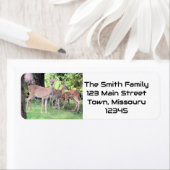 Deer Etiket (Insitu)