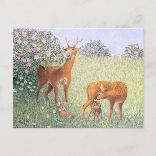 Deer Family Briefkaart (Voorkant)