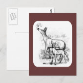 Deer Family Briefkaart (Voorkant / Achterkant)
