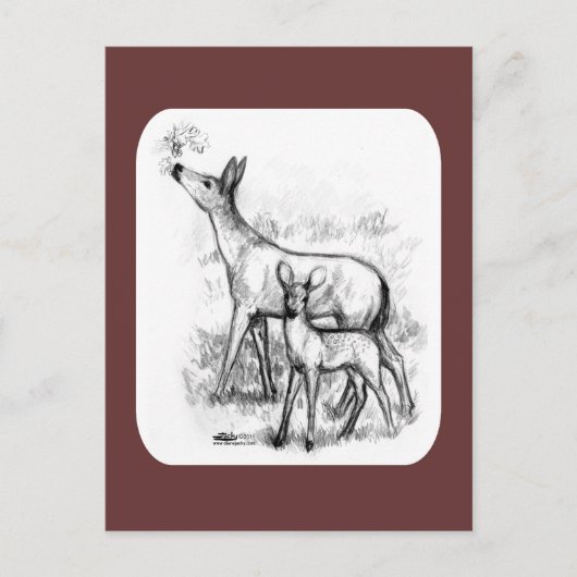 Deer Family Briefkaart (Voorkant)
