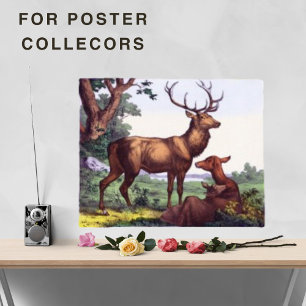 Deer Family  Poster