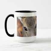 Deer Fawn Closeup Portret Mok (Links)