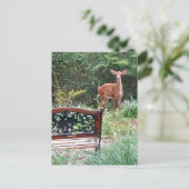 Deer Fawn in Grass Garden Foto Briefkaart (Staand voorkant)