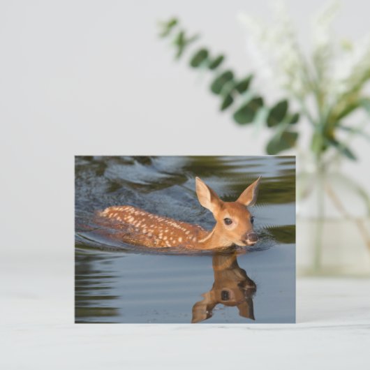 Deer Fawn | Minnesota Briefkaart (Staand voorkant)