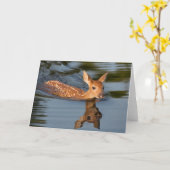 Deer Fawn | Minnesota Kaart (Gele Bloem)