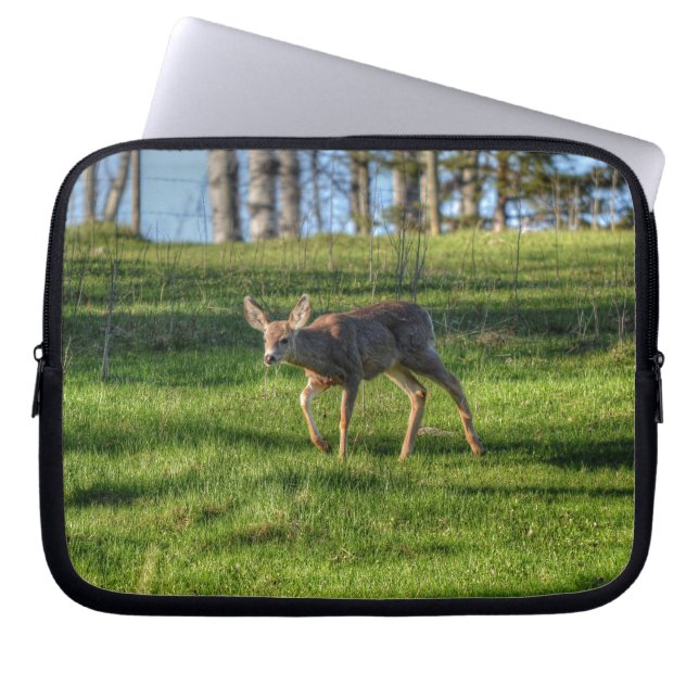 Deer Fawn & Ranch Grass Wildlife Animal Foto Laptop Sleeve (Voorkant)