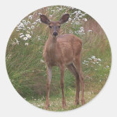 Deer Fawn Sticker (Voorkant)