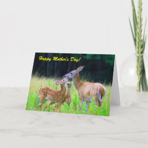 Deer Fawns Nursing, Happy Moederdag! Kaart