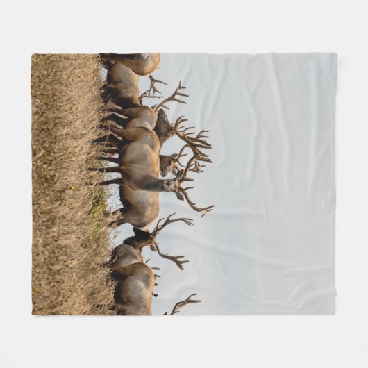 DEER FLEECE DEKEN (Voorkant (Horizontaal))