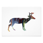Deer Foto Afdruk (Voorkant)