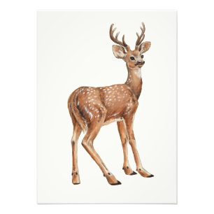 Deer Foto Afdruk