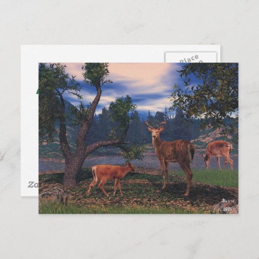 Deer Gathering Briefkaart (Voorkant / Achterkant)