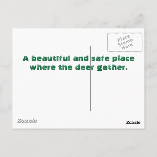 Deer Gathering Briefkaart (Achterkant)