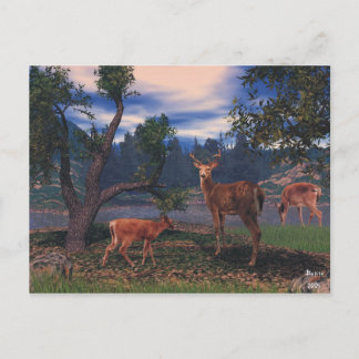 Deer Gathering Briefkaart