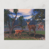 Deer Gathering Briefkaart (Voorkant)