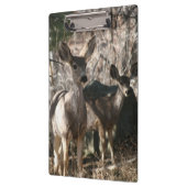 Deer gezegde hallo klembord (Links)