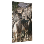 Deer gezegde hallo klembord (Rechts)
