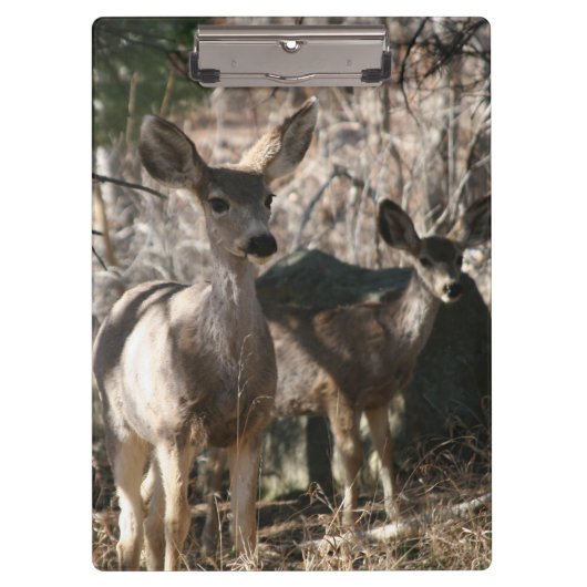 Deer gezegde hallo klembord (Voorkant)