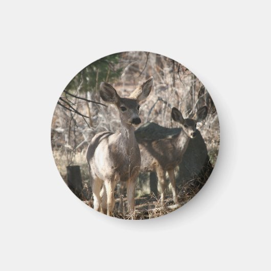 Deer gezegde hallo magneet (Voorkant)