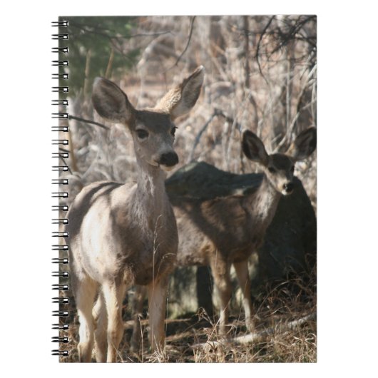 Deer gezegde hallo notitieboek (Voorkant)