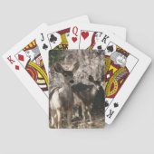 Deer gezegde hallo pokerkaarten (Achterkant)