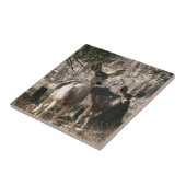 Deer gezegde hallo tegeltje (Zijkant)