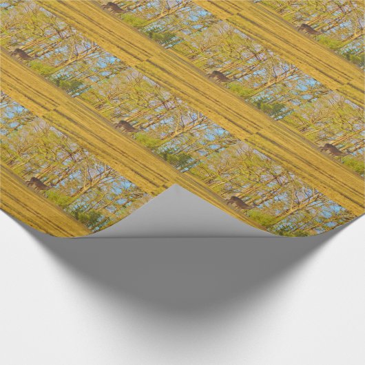 Deer Golden Grass, blue Sky Cadeaupapier (Hoek)