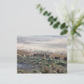 Deer grazing Lyme Park Briefkaart (Staand voorkant)