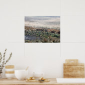 Deer grazing Lyme Park Briefkaart Poster (Keuken)