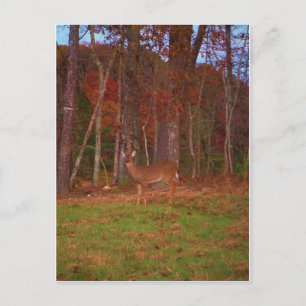 Deer, Green Grass Red en Gold leaves Briefkaart