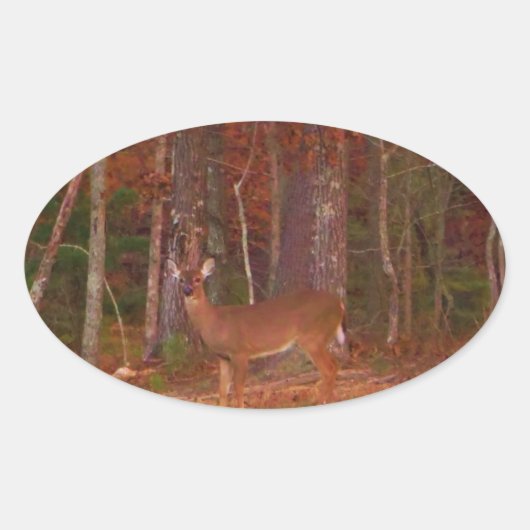 Deer, Green Grass Red en Gold leaves Ovale Sticker (Voorkant)