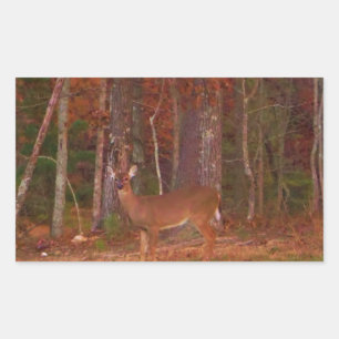 Deer, Green Grass Red en Gold leaves Rechthoekige Sticker
