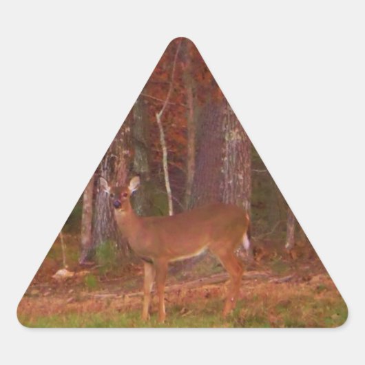 Deer, Green Grass Red en Gold leaves Sticker (Voorkant)