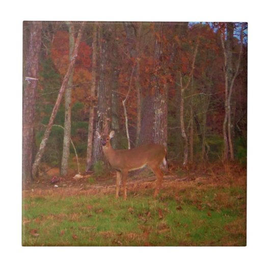 Deer, Green Grass Red en Gold leaves Tegeltje (Voorkant)