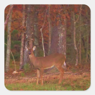 Deer, Green Grass Red en Gold leaves Vierkante Sticker