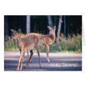 Deer, Hallo Dearie (Voorkant Horizontaal)