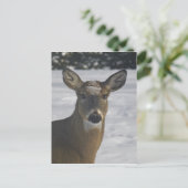 Deer Head Briefkaart (Staand voorkant)