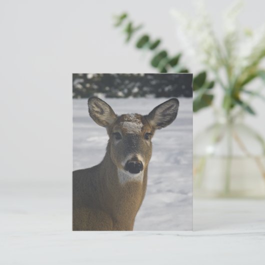 Deer Head Briefkaart (Staand voorkant)