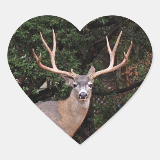 Deer Heart Sticker (Voorkant)