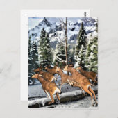 Deer Herd Runing in Rocky Mountains Briefkaart (Voorkant / Achterkant)