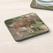Deer Hugging Bier Onderzetter (Linkerzijde)
